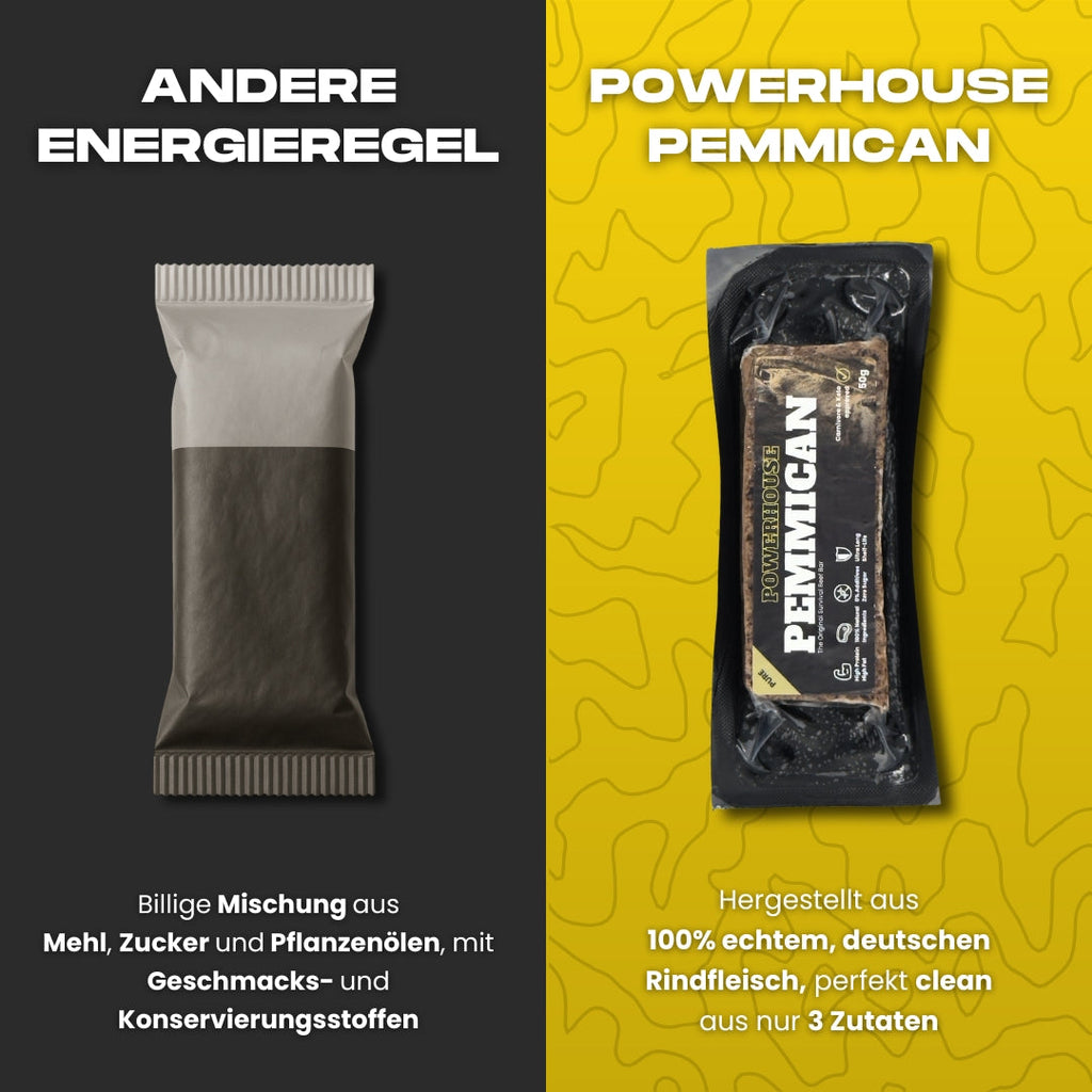 Powerhouse Pemmican - SUNNY TOMATO