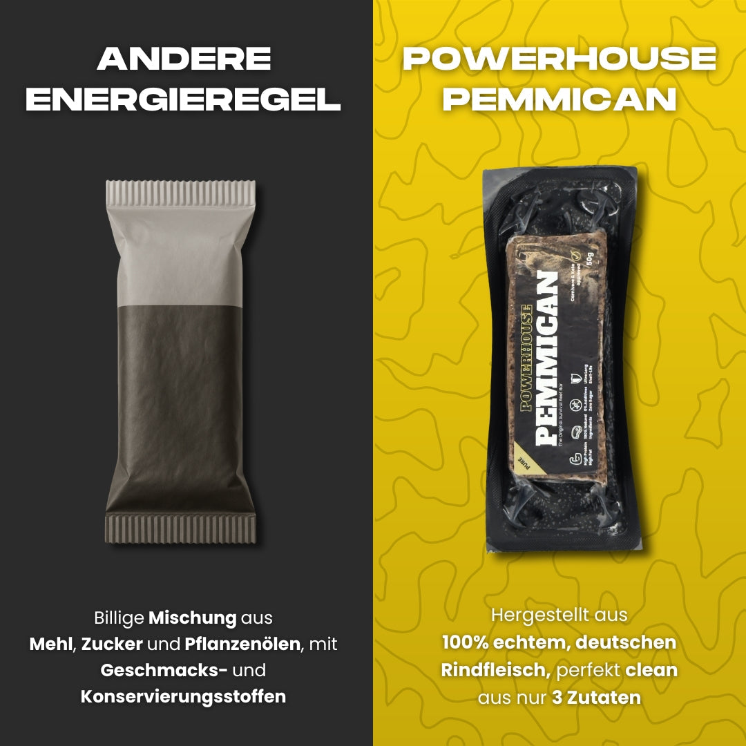 Powerhouse Pemmican - VARIETY BUNDLES